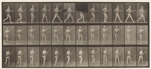 Caricare la Baionetta, 1872-1885 da Eadweard Muybridge
