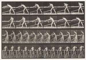 Carpentiere, Piallare una Tavola, 1872-1885 da Eadweard Muybridge