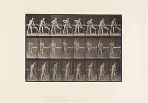 Carpentiere, segare da Eadweard Muybridge