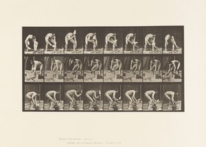 Piastra 381. Muratore, posare un mattone da Eadweard Muybridge