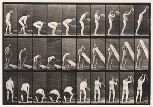 Sollevare un tronco in piedi, 1872-1885 da Eadweard Muybridge