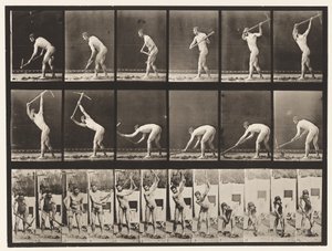 Contadino, usando un piccone, 1872-1885 da Eadweard Muybridge