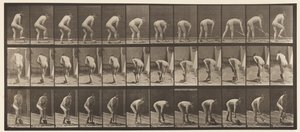 Tavola 388. Contadino che usa una vanga da Eadweard Muybridge