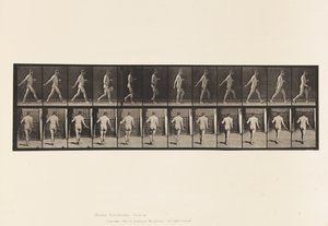 Tavola 389. Contadino che sparge semi da Eadweard Muybridge