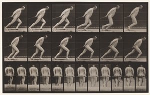 Tavola 392. Trascinare un rullo da giardino da Eadweard Muybridge