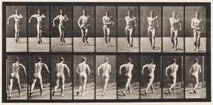 Piastra 3. Camminare da Eadweard Muybridge