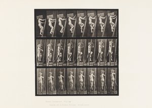 Trasportare mattoni su una scala da Eadweard Muybridge