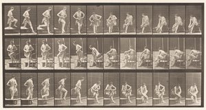 Piastra 410. Uscire dalla vasca da bagno, sedersi, asciugarsi i piedi da Eadweard Muybridge