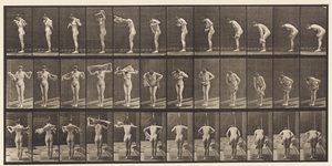 Asciugarsi il corpo con un asciugamano (tavola 414) da Eadweard Muybridge