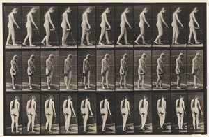 Tavola 42. Camminare, Versare acqua da una brocca da Eadweard Muybridge