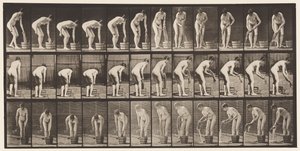 Strizzare i vestiti (tavola 433) da Eadweard Muybridge