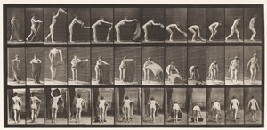Stendere un Tappeto sul Pavimento, 1872-1885 da Eadweard Muybridge