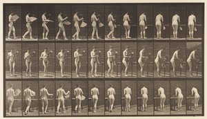 Tavola 441. Portare il vaso e posizionarlo sul tavolo, 1872-1885 da Eadweard Muybridge