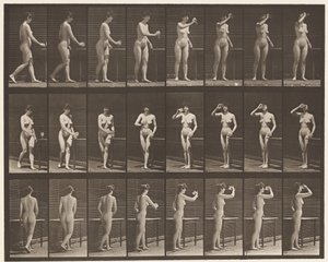 Piastra 443. Bere da un calice mentre si è in piedi da Eadweard Muybridge