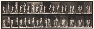 Tavola 448. Due modelli da Eadweard Muybridge