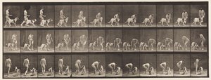 Dare da mangiare a un cane (tavola 449) da Eadweard Muybridge