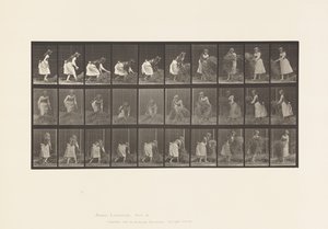 Tavola 458. Sollevare manciate di fieno, girare, gettarlo giù da Eadweard Muybridge