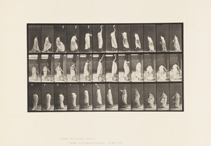 Tavola 459. Salire su una sedia, allungarsi e scendere, 1885