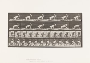 Tavola 471. Bambino, gattonare sulle mani e sulle ginocchia, 1885 da Eadweard Muybridge