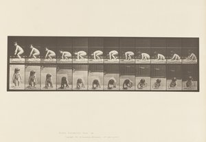 Bambino che si alza da terra da Eadweard Muybridge