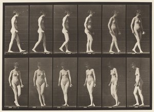 Tavola 47. Camminare e girarsi da Eadweard Muybridge