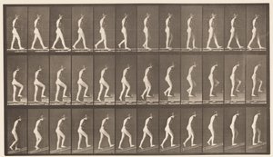 Camminare; Salire le scale; Salire una pendenza