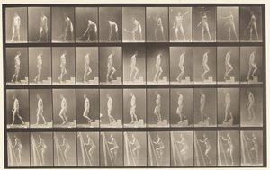 A, Tennis sul prato; B, salire un gradino, 1872-1885 da Eadweard Muybridge
