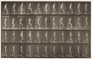 Tavola 489. A, Salita inclinata, 1872-1885 da Eadweard Muybridge