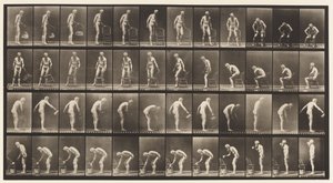 Tavola 490. A, sedersi; B, sedersi; C, spruzzare acqua da Eadweard Muybridge