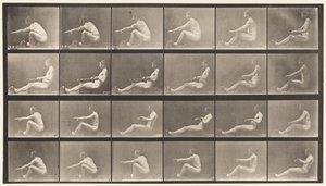Tavola 492. A da Eadweard Muybridge