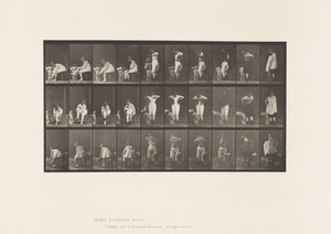 Piastra 494. Fasi varie della toilette da Eadweard Muybridge