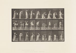Tavola 496. Fasi varie della toilette, 1885 da Eadweard Muybridge
