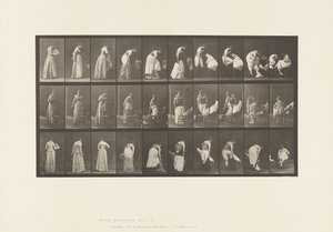 Tavola 497. Fasi varie della toilette, 1885 da Eadweard Muybridge