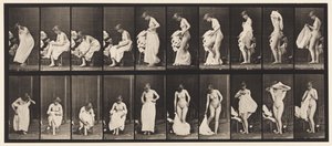 Piatto 498. Fasi varie della toilette, 1872-1885 da Eadweard Muybridge
