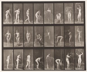 Rastrellare e imballare il fieno da Eadweard Muybridge