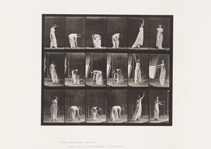 Tavola 503. Varie - Chinarsi, ecc. da Eadweard Muybridge