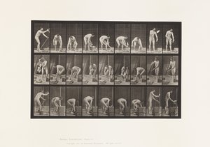 Posa mattoni da Eadweard Muybridge