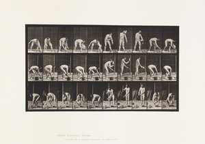 Posare mattoni (tavola 506) da Eadweard Muybridge