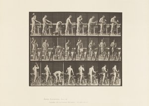 Tavola 507. Carpenteria da Eadweard Muybridge