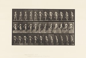 Piastra 50. Camminare, portare un secchio da Eadweard Muybridge