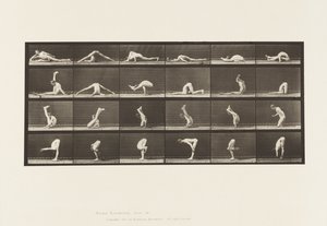 Contorsioni a Terra, 1872-1885