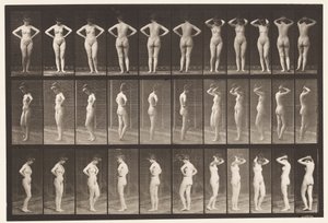 Tavola 531. Varie pose da Eadweard Muybridge
