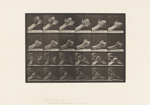 Movimento della Mano; Stringere le Mani, 1885 da Eadweard Muybridge