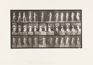 Tavola 53. Camminare, spargere fiori e azione di girare da Eadweard Muybridge