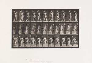 Tavola 541. Sclerosi Cerebro-Spinale Multipla (Coreica); Camminata da Eadweard Muybridge