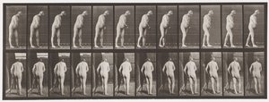 Emiplegia; Camminare con Stampella, 1885 da Eadweard Muybridge