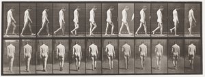 Epilessia; camminare da Eadweard Muybridge