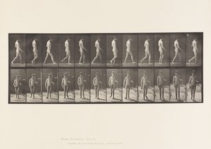 Epilessia; camminare
