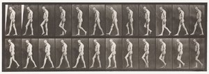 Tavola 555. Atrofia muscolare delle gambe; adulto, A,B, camminare, 1885 da Eadweard Muybridge