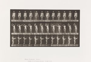 Corea locale; A, B, C, mentre si è in piedi da Eadweard Muybridge
